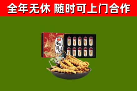 陵城回收冬虫夏草价格
